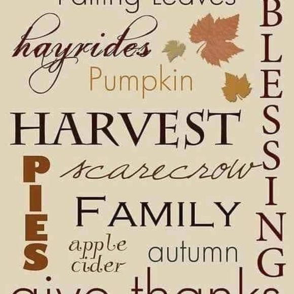 Meet your Posher, Gretchen - Picture 1 of 1